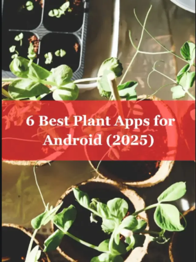 Plant apps