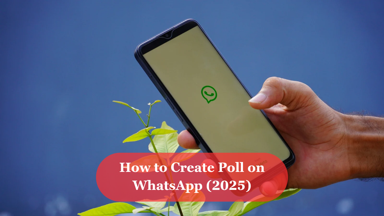 How to create poll on whatsapp