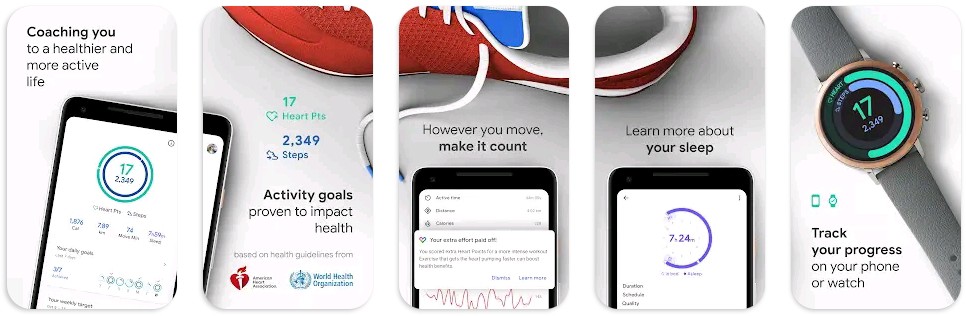 Google Fit 